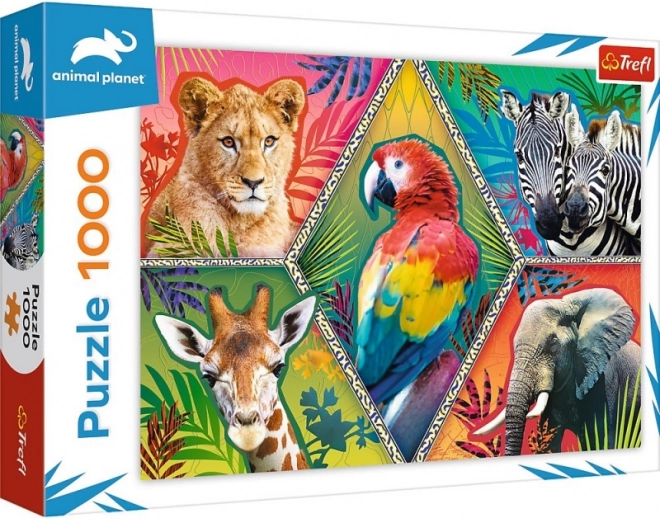 Puzzle 1000 dielikov - Exotické zvieratá