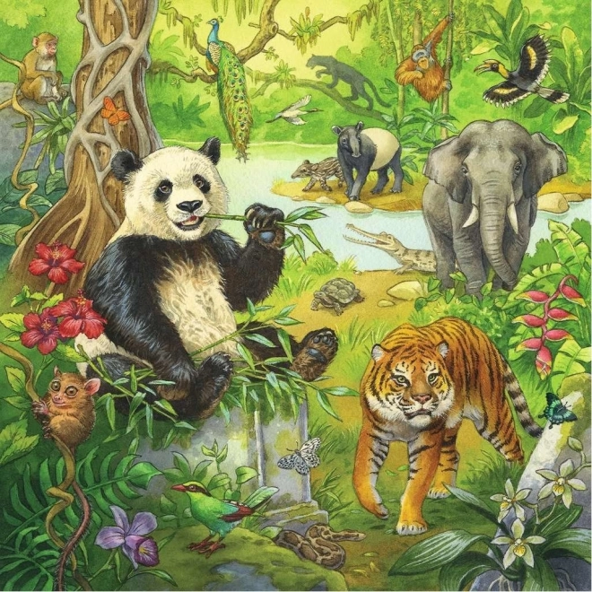 Ravensburger Puzzle Zvieratá v džungli 3x49 dielikov