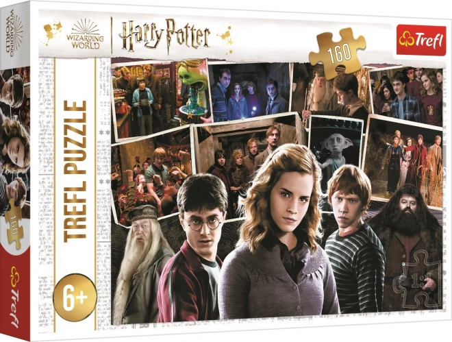 Trefl Puzzle Harry Potter s priateľmi 160 dielikov