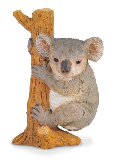 Collecta Koala na strome