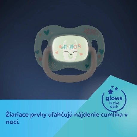 Canpol Babies Silikónový dudlík Exotic Animals 0-6m panda