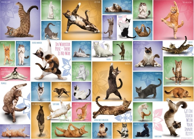 Puzzle Mačacia jóga 1000 dielikov