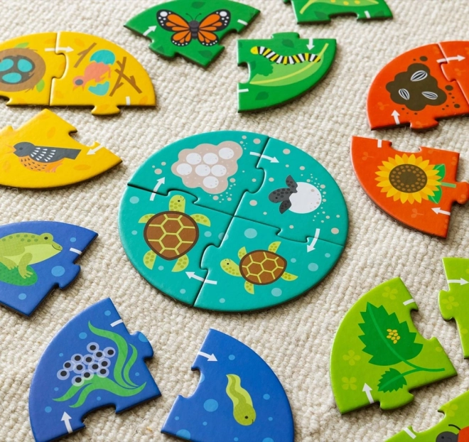 Petit Collage Puzzle Objaviteľov Kolobeh Života