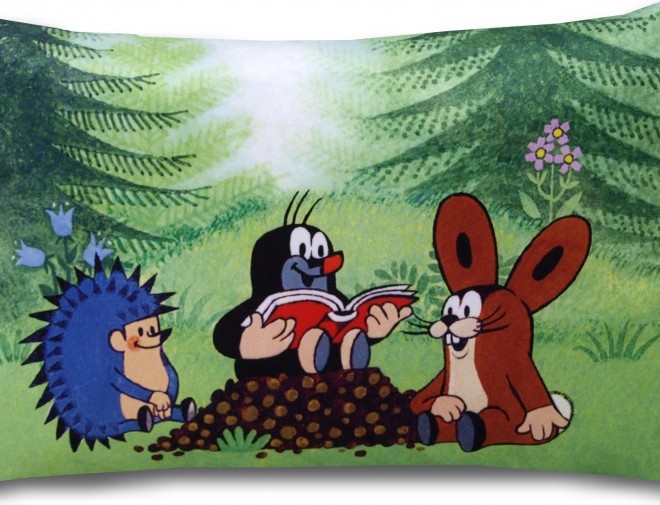 Vankúš Krtek čitatelia 45x30