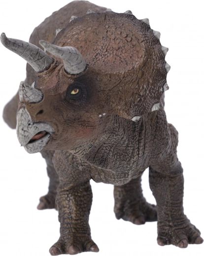 Perfektné pre všetky vekové kategórie