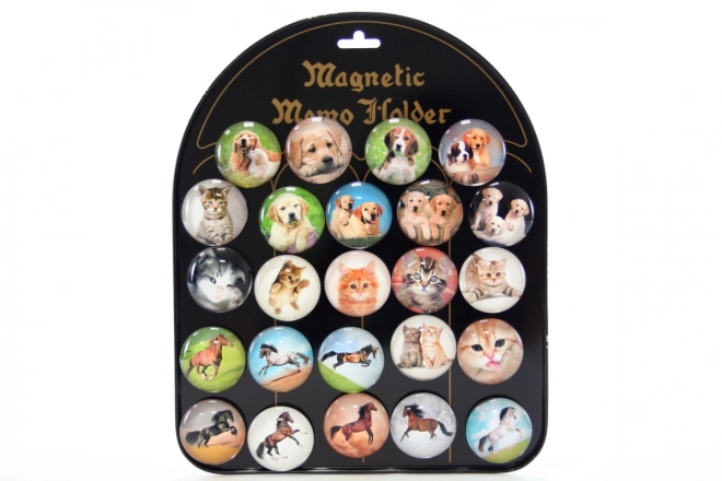 Magnety pre domácich miláčikov: psi, mačky a kone