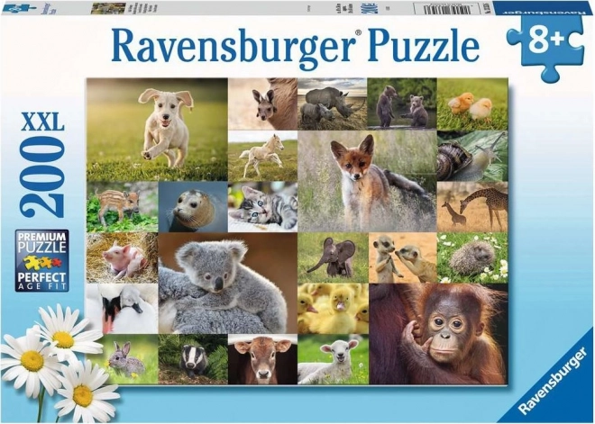 Ravensburger Puzzle Koláž Zvieracích Mláďat XXL 200 Dielikov