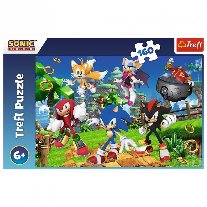 Puzzle Sonic a priatelia