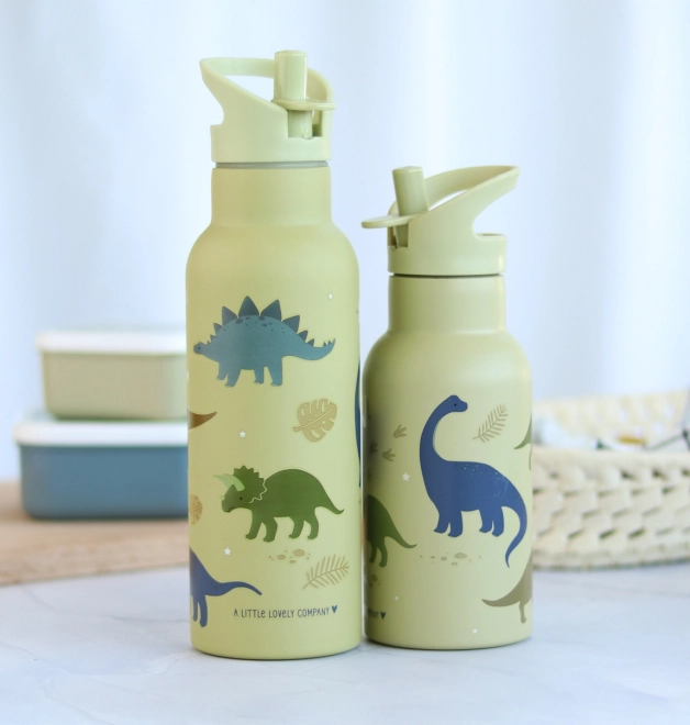 A Little Lovely Company Nerezová fľaša na pitie 500 ml – Dinosaury