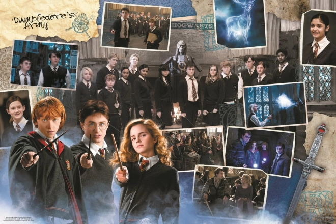 Puzzle Harry Potter 10v1