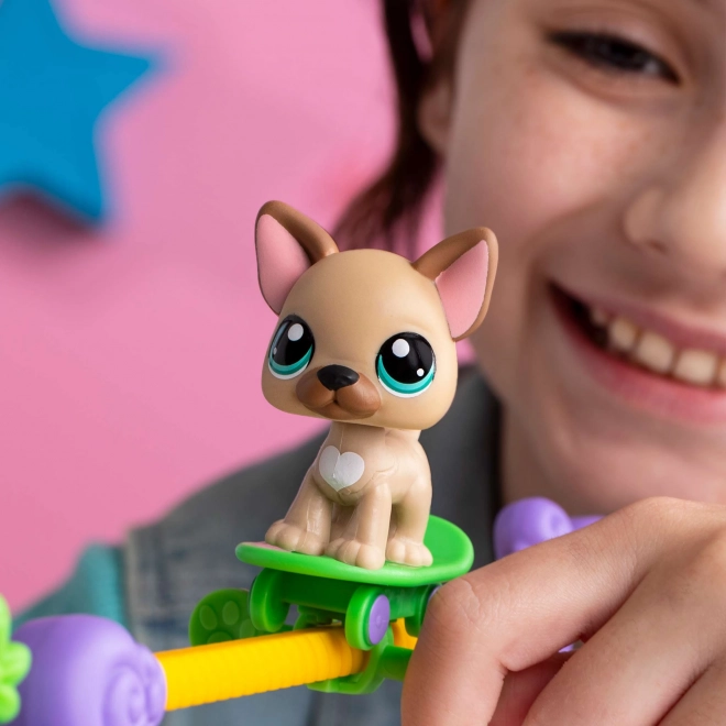 Herná sada Littlest Pet Shop Zvieratká majú talent