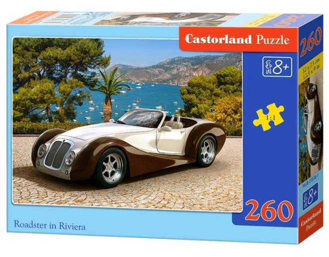 Puzzle Roadster na riviére 260 dielikov