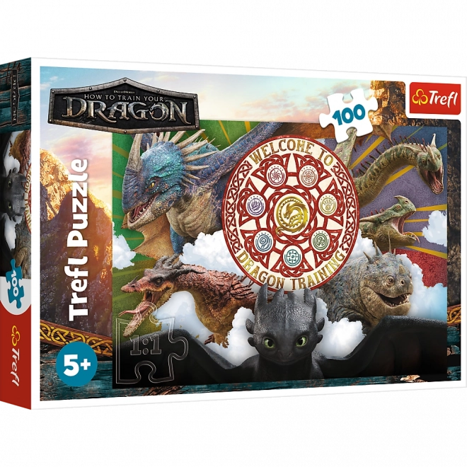 Puzzle 100 dielikov Draci v akcii