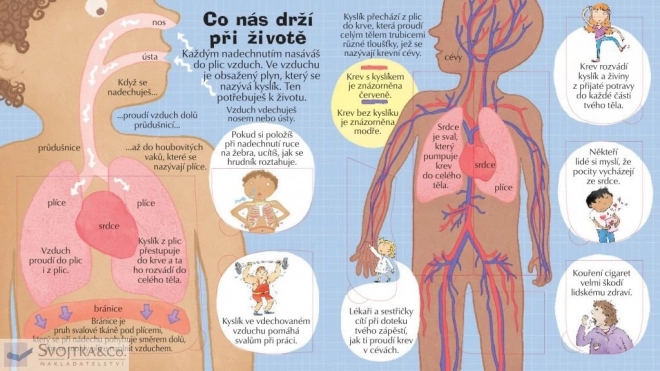 Pozri sa do svojho tela