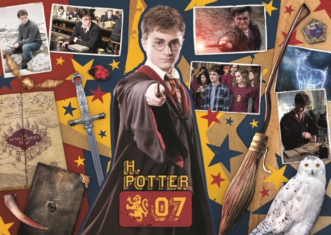 Puzzle Harry Potter: Ron, Hermiona a Harry