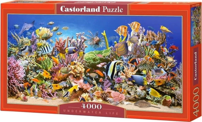 Castorland puzzle Podmorský život 4000 dielikov