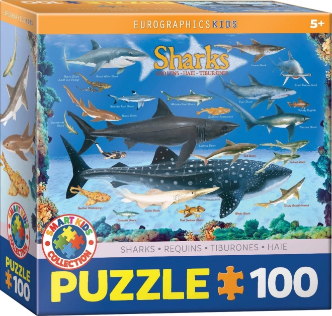 Puzzle Žraloci 100 dielikov