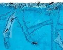 Mravenisko inšpirované NASA so živinovým gélom