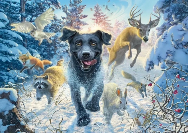 Puzzle Labradora v snehu 1000 dielikov