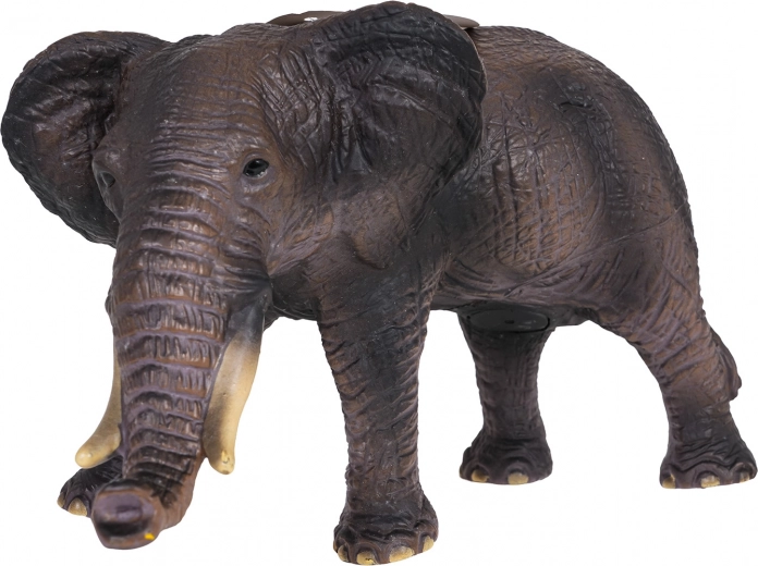 Realistické detaily a robustné prevedenie