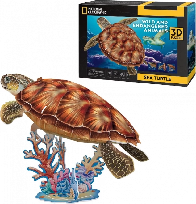 CubumFun 3D puzzle Národná geografia: Morská korytnačka 31 dielov