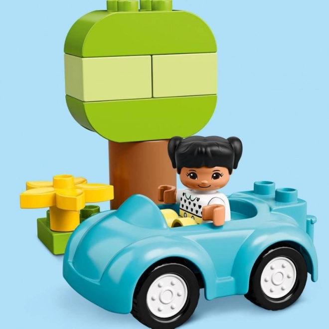 LEGO Duplo 10913 Krabička s kockami