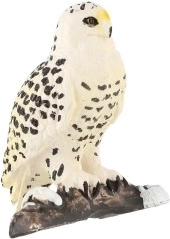 Verné detaily arktického dravca