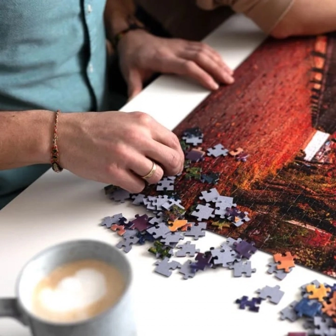 Puzzle Trefl 1000 dielikov - Premium Plus - Foto Odyssea - Hora Fuji, Japonsko