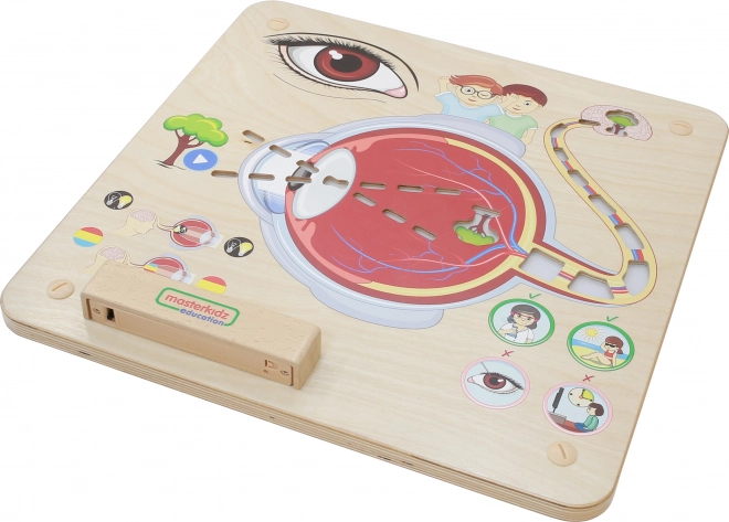 Masterkidz Edukačné Tabule Zrak Montessori