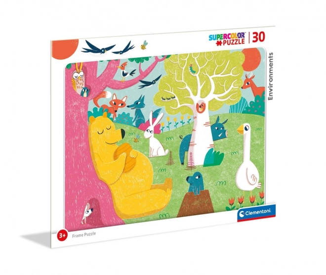 Puzzle Environments 30 el. Ramkowe Clementoni