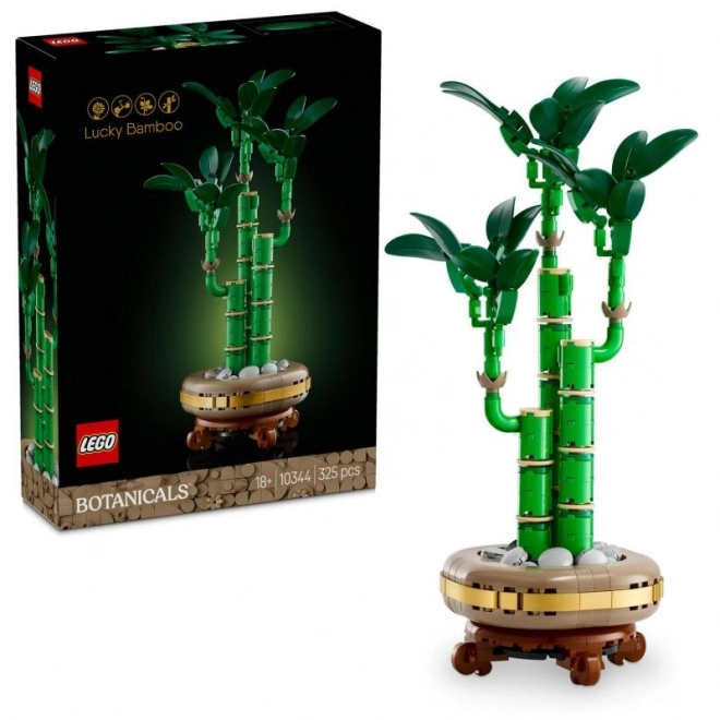 Dekoratívna rastlina LEGO Botanicals Dracena Sander