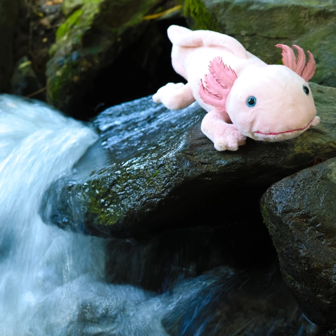 Plyšový axolotl 33 cm