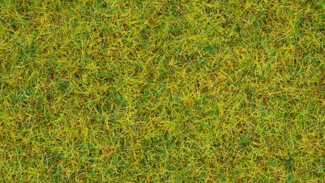 Statická tráva Letná Lúka 2,5 mm