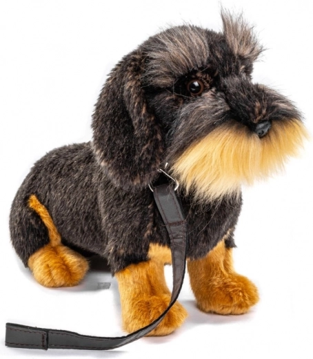 Vôdzka pre interaktívnu hru