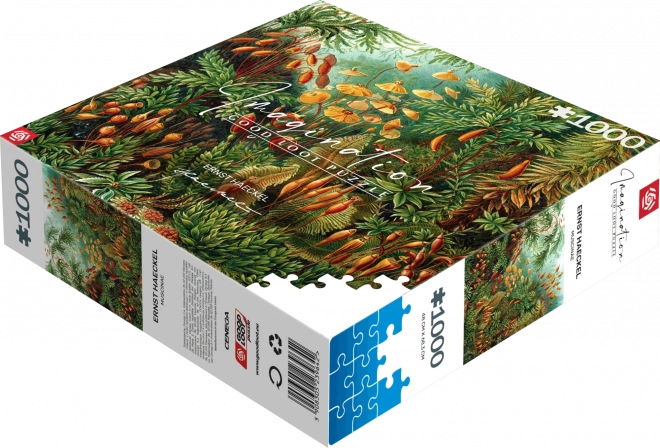 Good Loot puzzle Imagination: Ernst Haeckel - Muscinae 1000 dielikov