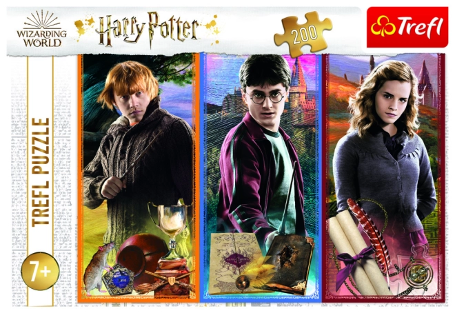 Oficiálny motív HARRY POTTER od Trefl