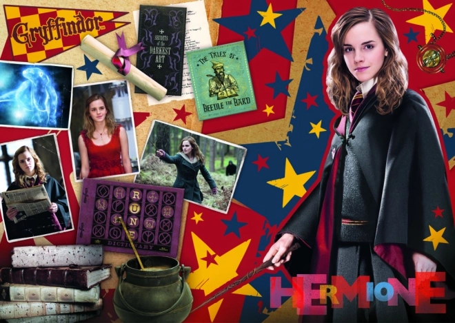 Puzzle Harry Potter: Ron, Hermiona a Harry