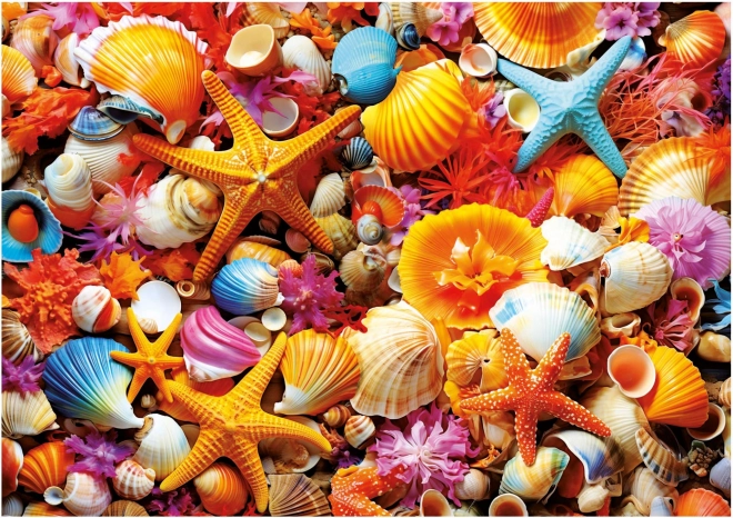 Puzzle Mušle 1000 dielikov EDUCA