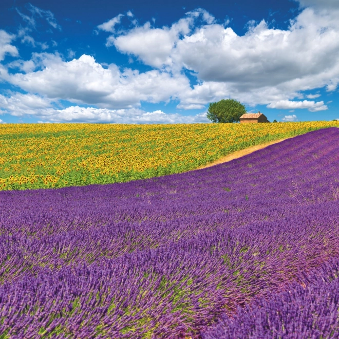 Poznámkový kalendár Provence 2026