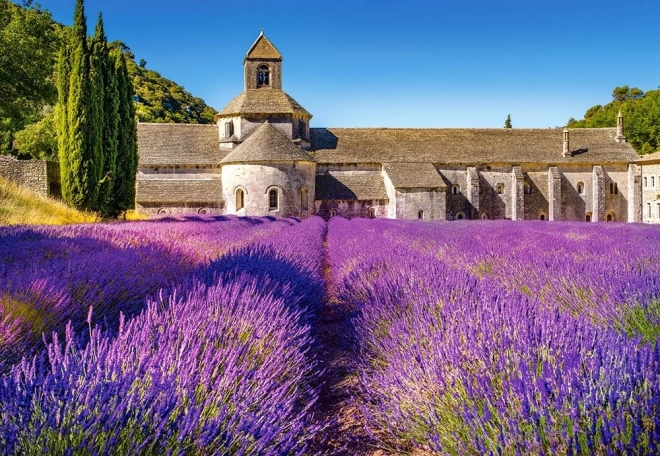 Puzzle Levanduľové polia v Provence 1000 dielikov