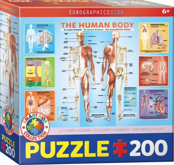 Puzzle Ľudské telo 200 dielikov