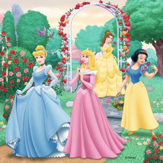 Ravensburger puzzle Disney princezny: Sny