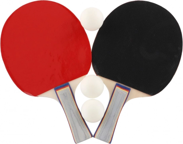 Súprava na stolný tenis: 2 rakety + 3 loptičky v puzdre