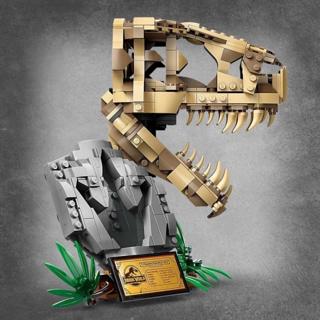 LEGO Jurassic World Dinosauří fosílie: Lebka T-rexa