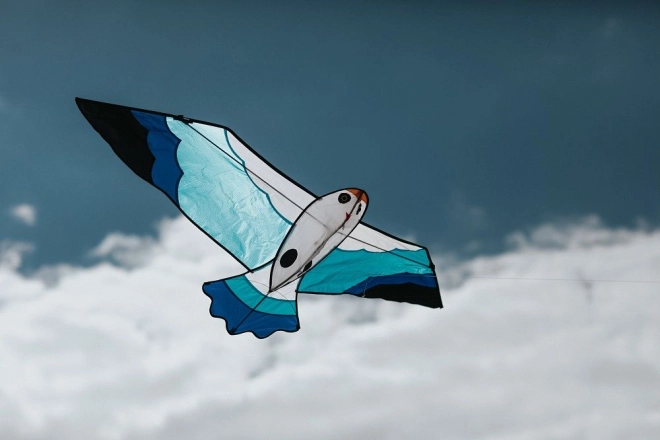 Ideálne do vetra 2–5 Bft