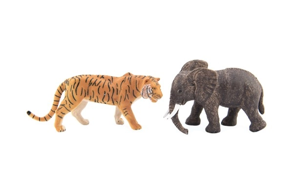 Tiger a slon – ikonické druhy zo safari