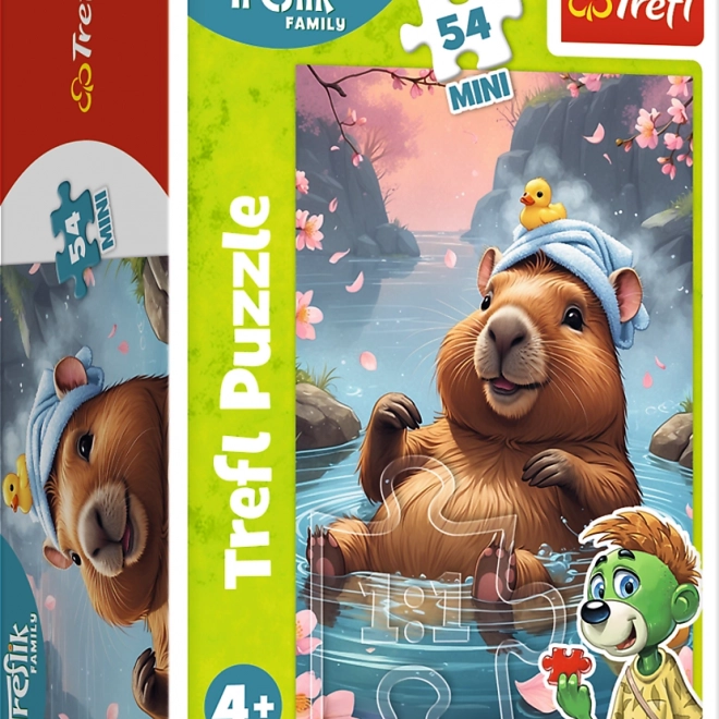 Puzzle Treflíci 54 dielikov