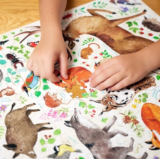 Veľká, detailná ilustrácia plná zvierat