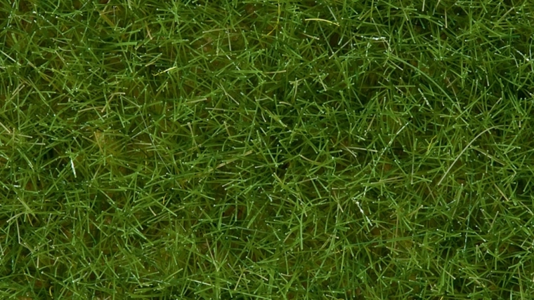 Statická tráva divoká svetlozelená 6 mm Noch