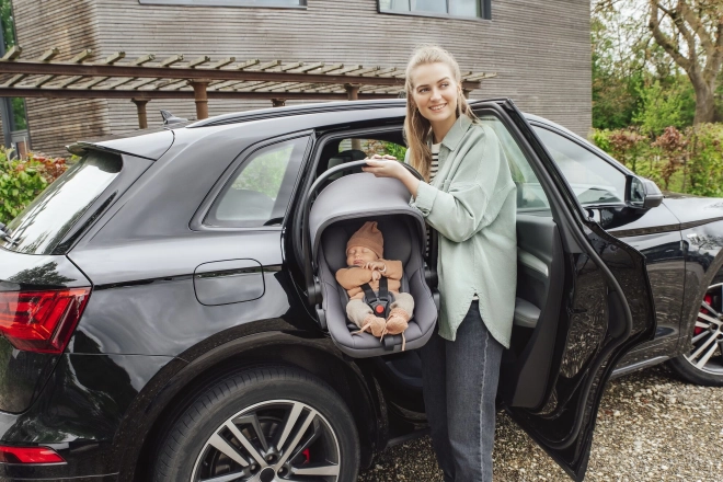 Autosedačka pre deti Britax Römer Baby-Safe Core s Bázou, Frost Grey